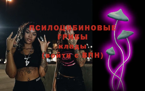 2c-b Карпинск
