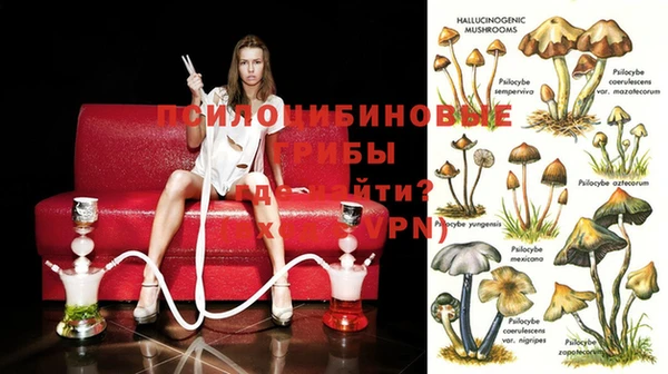 ALPHA-PVP Киреевск