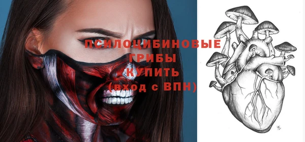спиды Кодинск